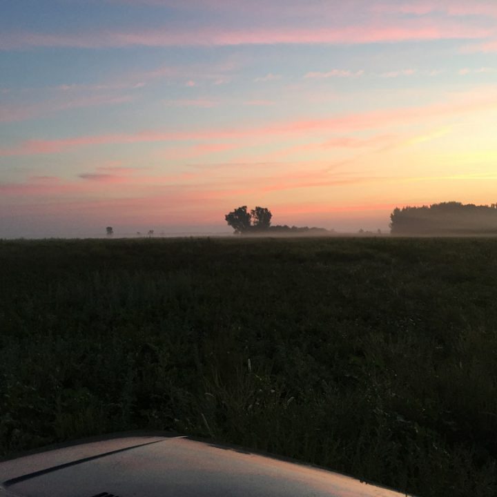 Shooting quails in Serbia