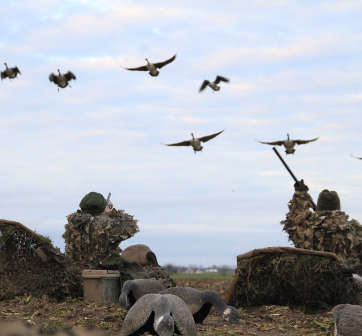 Best hunting experience in Czech Republic