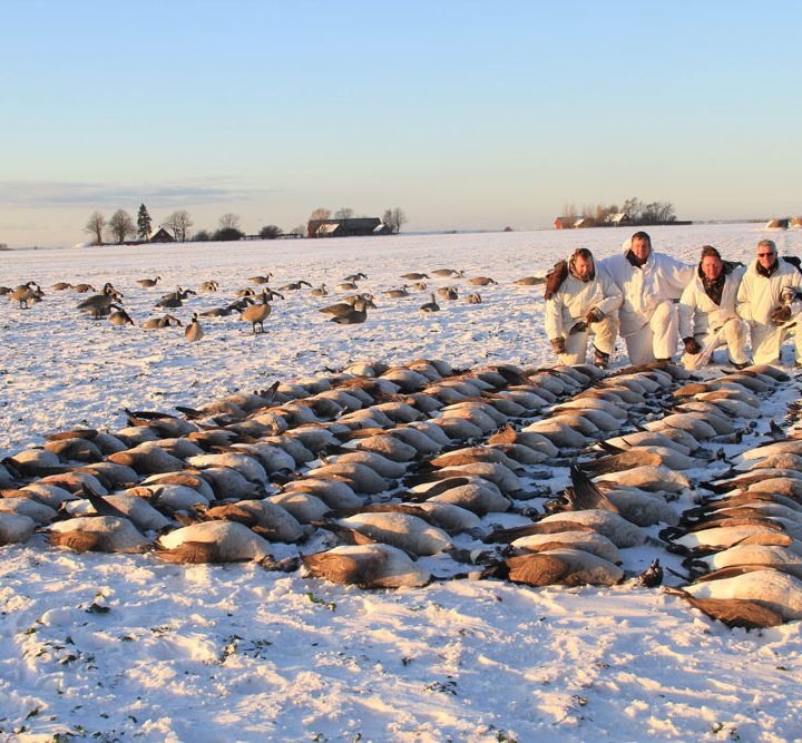 Best hunting experience in Hungary